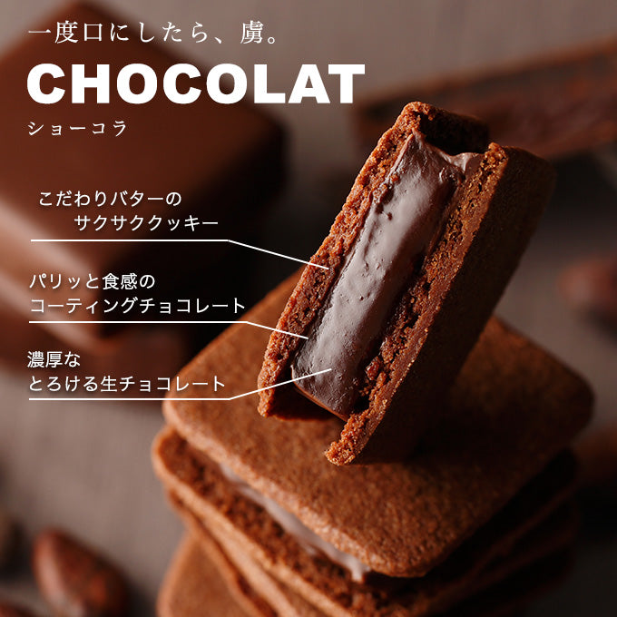 ショーコラ12個入 – おいしいお取り寄せ百貨店