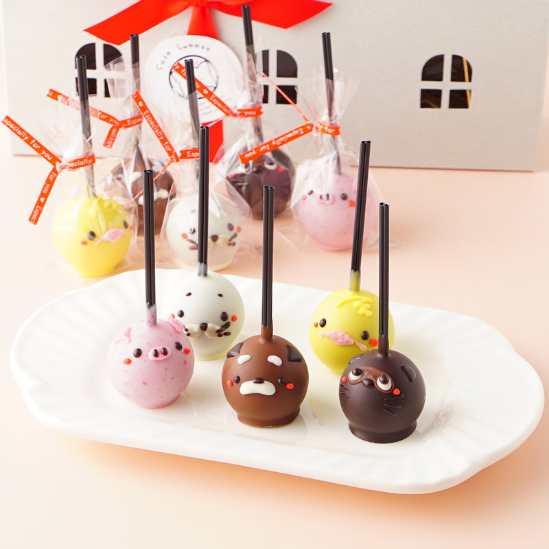【2023 バレンタイン】チョコレートケーキポップス 10本セット